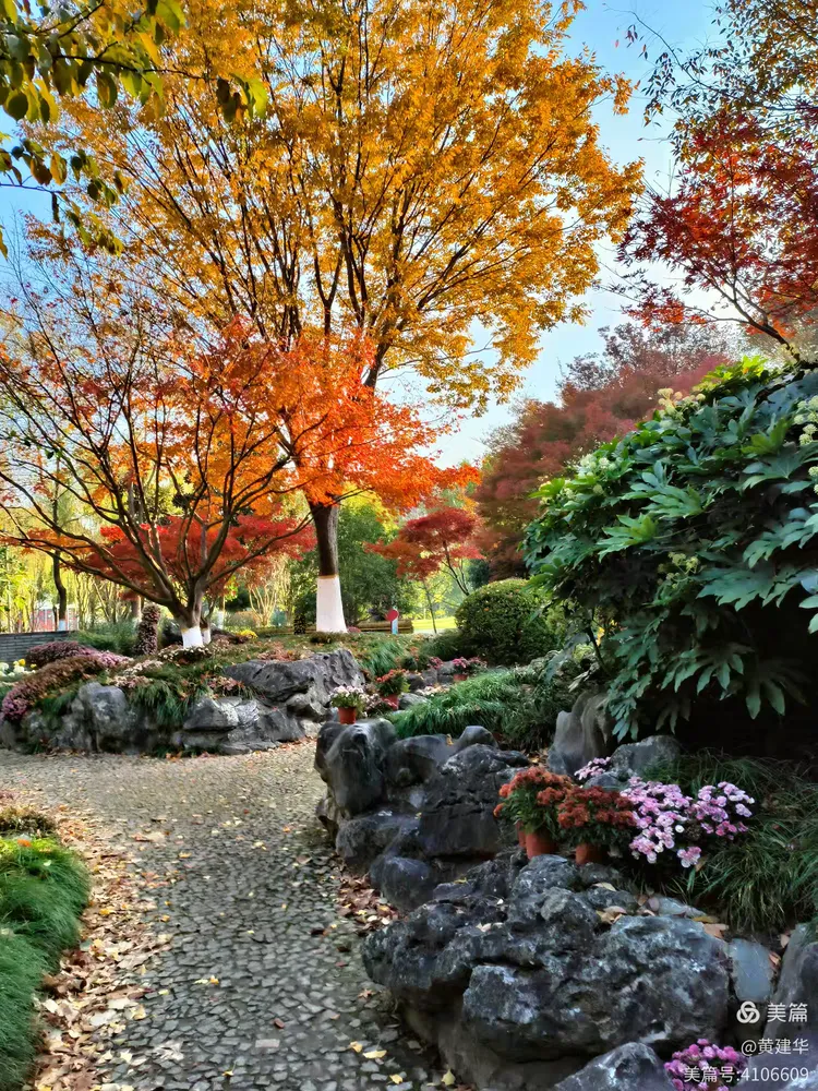 唐闸公园秋色美